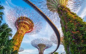 garden by the bay singapore